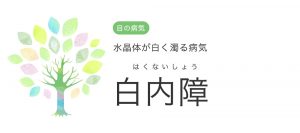 白内障