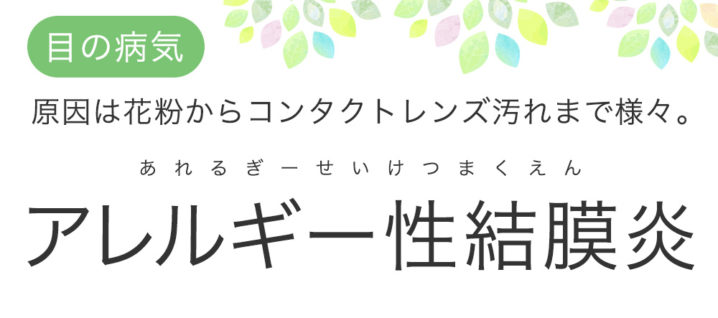 原因はハウスダスト 花粉 ペットの毛 コンタクトレンズの汚れ アレルギー性結膜炎 中央眼科グループ