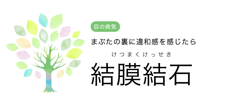 結膜結石 まぶたの裏のぶつぶつって怖いもの 中央眼科グループ