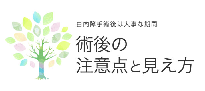 白内障手術後の注意点と見え方