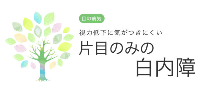 視力 低下 片目 視力が落ちてしまう原因と症状の回復方法について