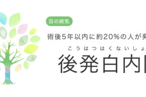 目がぼやける 原因と対処法 中央眼科グループ